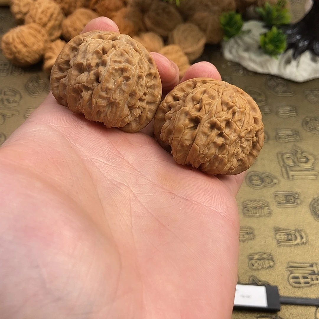 核桃球白42尺寸编号777全品无修骨质好上色快底子直
