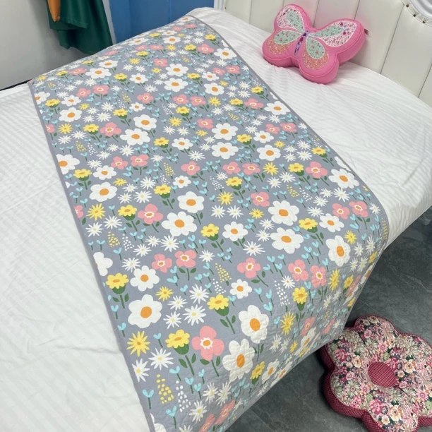 外贸床盖夹棉床单双面纯棉床垫加厚褥子学生宿舍沙发垫可水洗ins