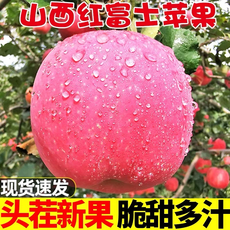 山西红富士酸甜苹果脆甜苹果脆甜多汁新鲜应季水果产地直发