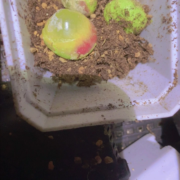 125998988988898878887575756