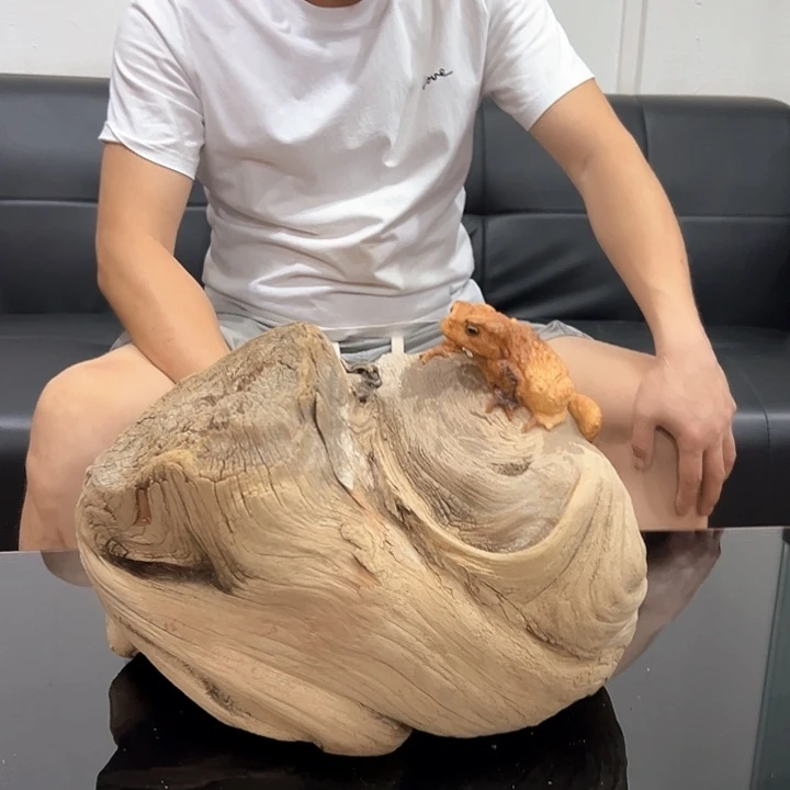 柏木连****资我们都是好孩子呀我也是
