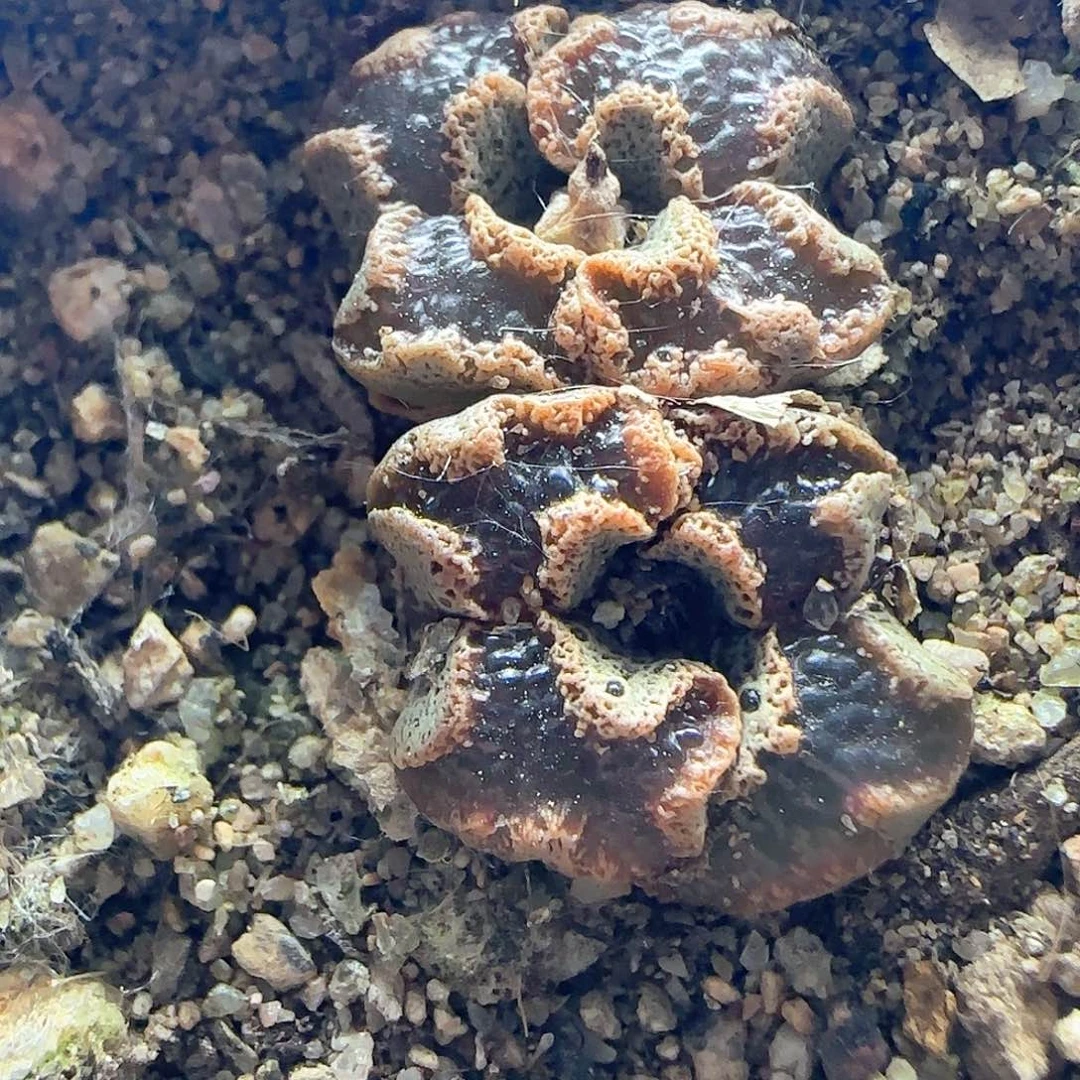小***好哈哈哈哈哈哈哈39282