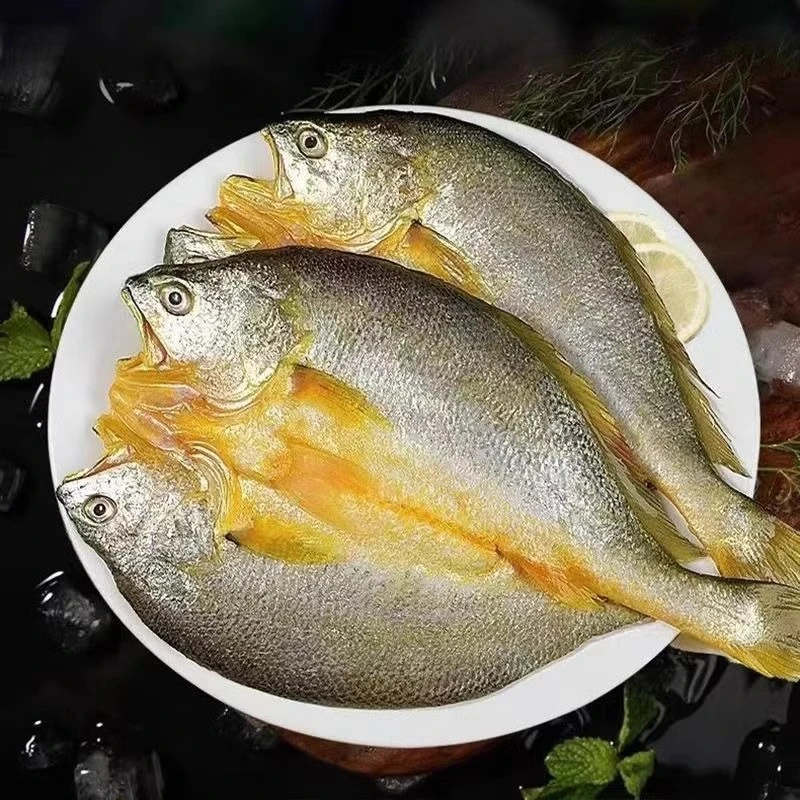新鲜冷冻宁德霞浦黄花鱼咸香大黄鱼三去小黄鱼300g*5条