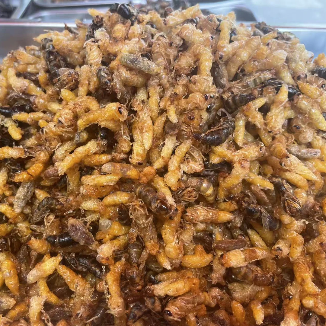 半斤新鲜柴火油炸蜂蛹