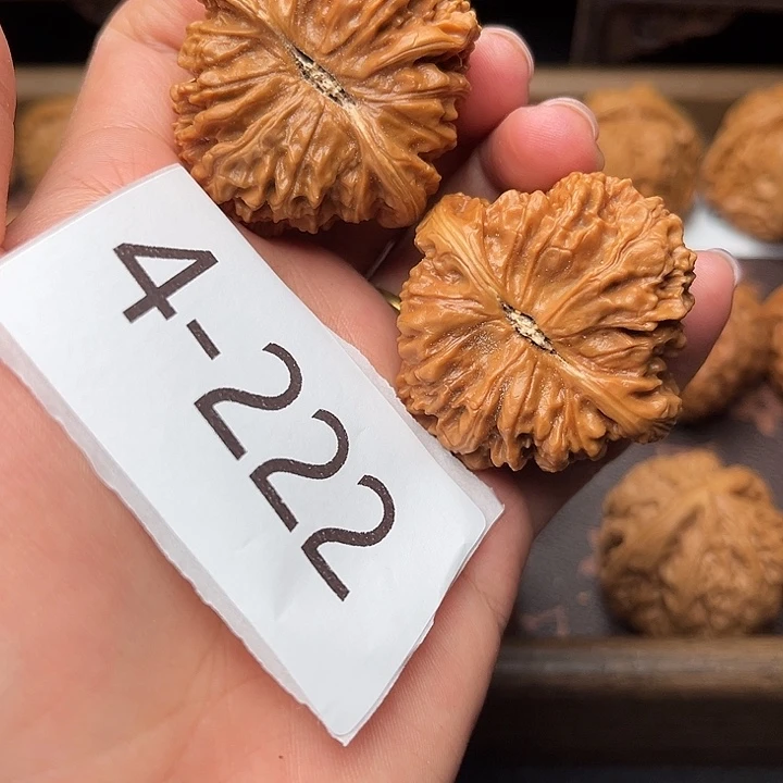 核桃42南疆石4222