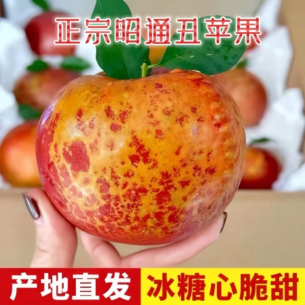 现摘正宗云南昭通冰糖心丑苹果脆甜多汁红富士新鲜当季孕妇水果