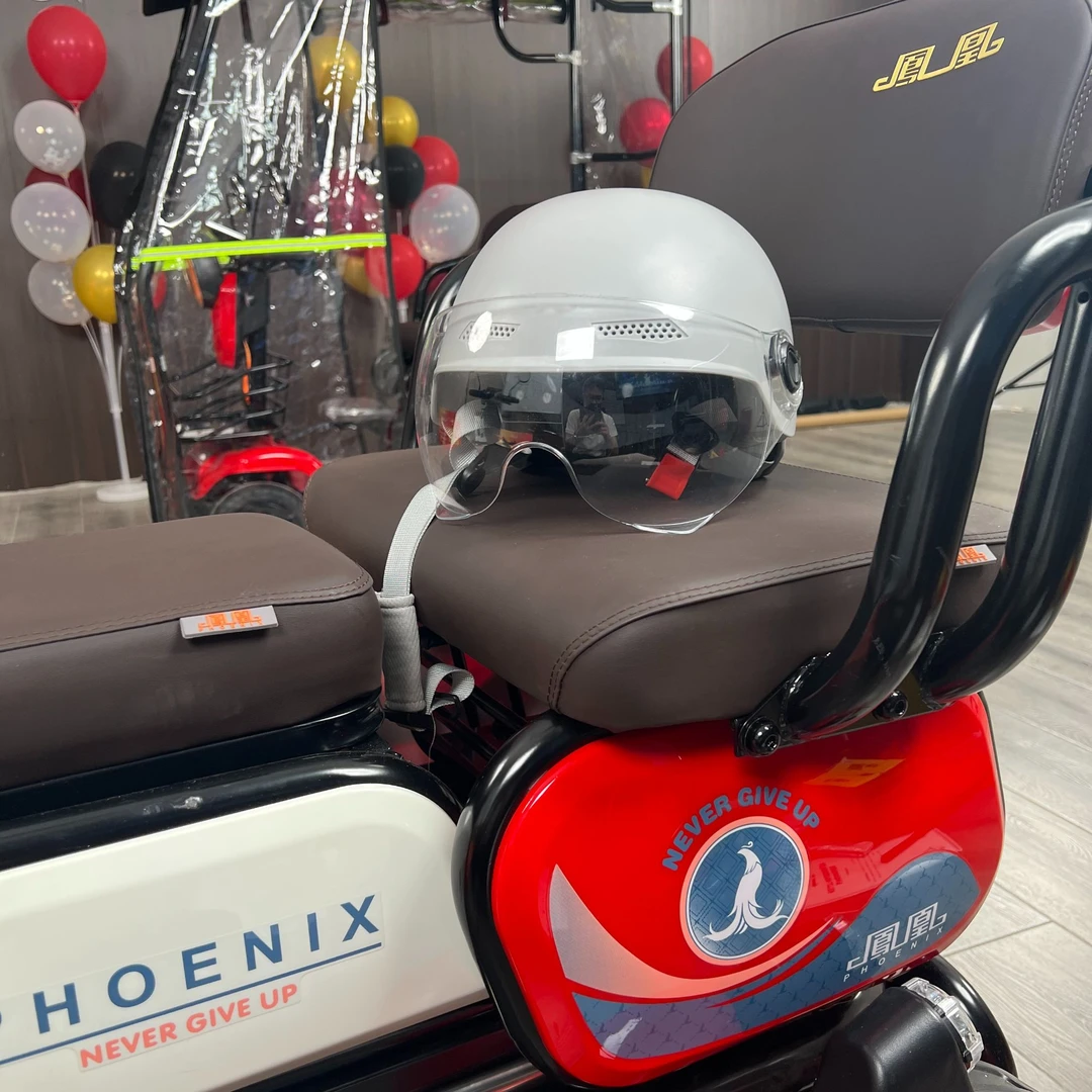 【韩总】百年凤凰城市锦鲤新款四轮车福利90天试骑名额礼包原厂雨篷