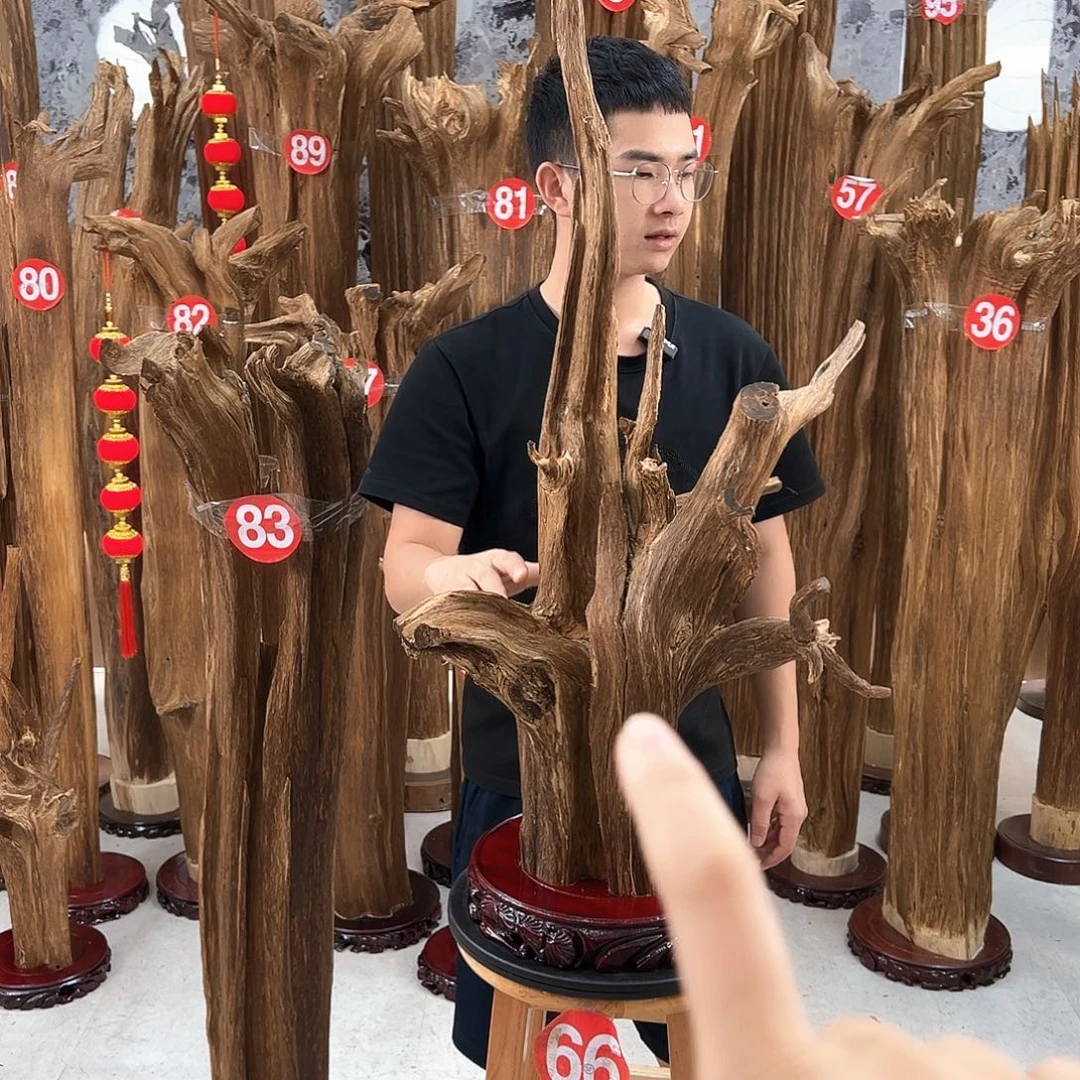 修***沉香碎屑沉香天然沉香