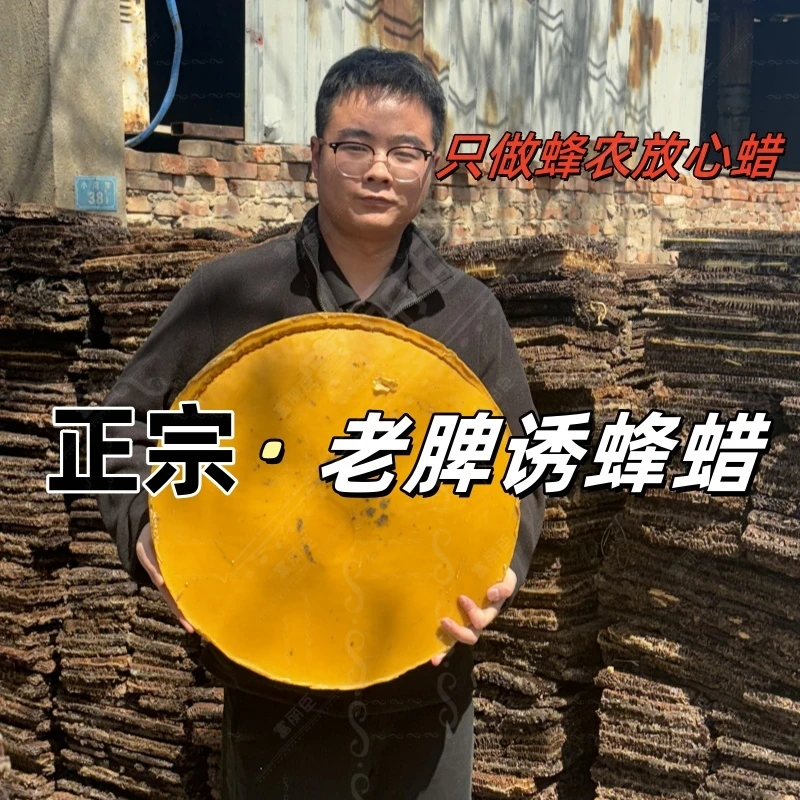 正宗老脾诱蜂蜡 诱蜂招蜂引蜂 正品保证