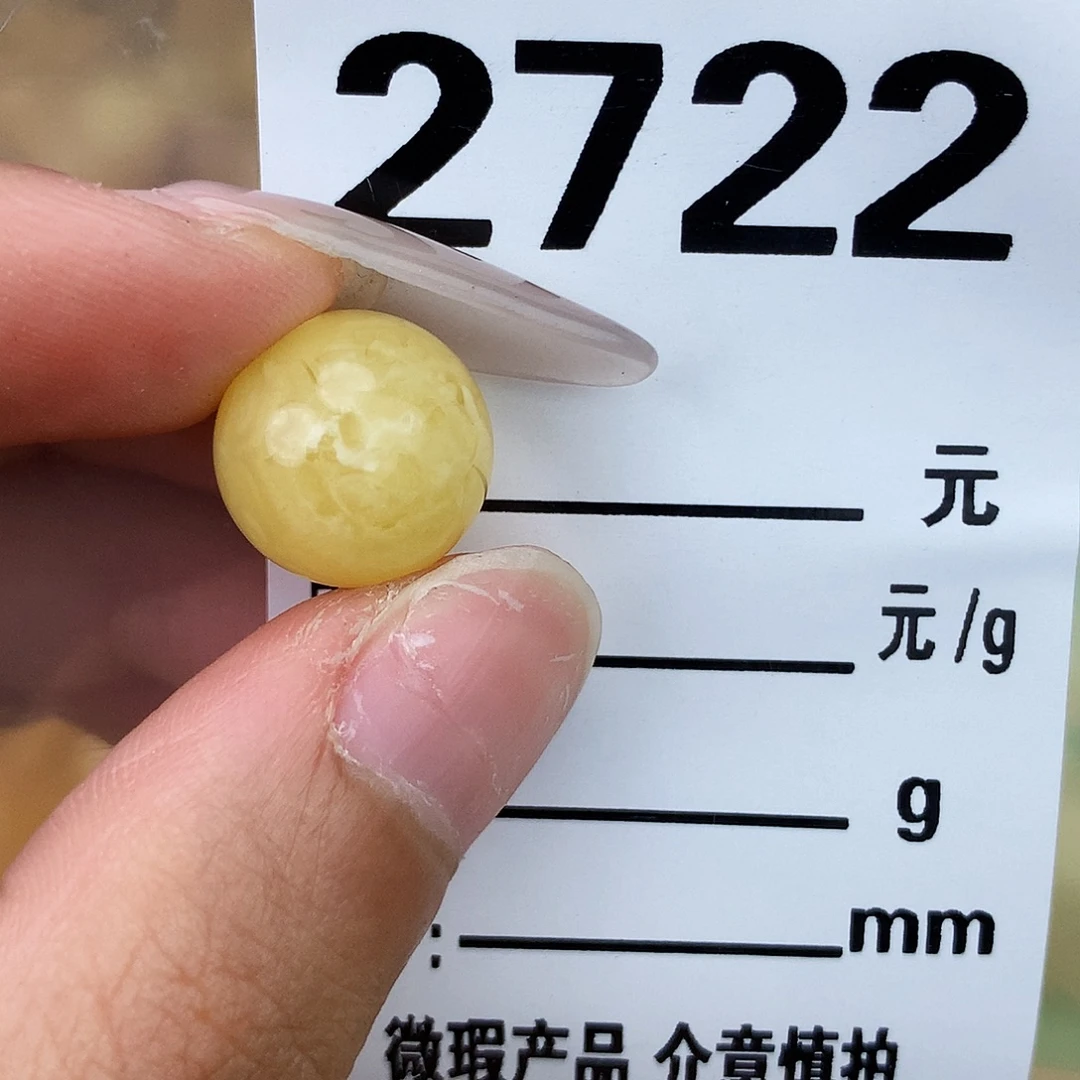 未镶嵌琥珀珠宝奇石12.7植物