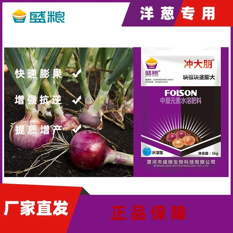 果实膨大地下作物洋葱 块根块茎