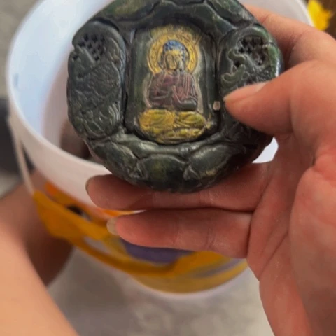 杂色豆（科檀/科特迪瓦檀木）晚**停