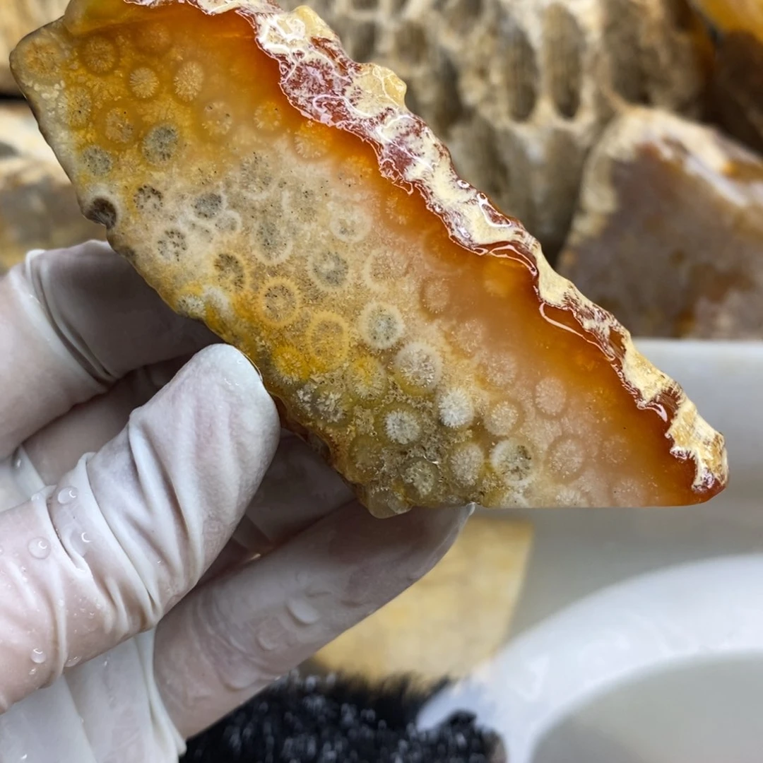 【闪购商品】硅化玉珊瑚玉未镶嵌