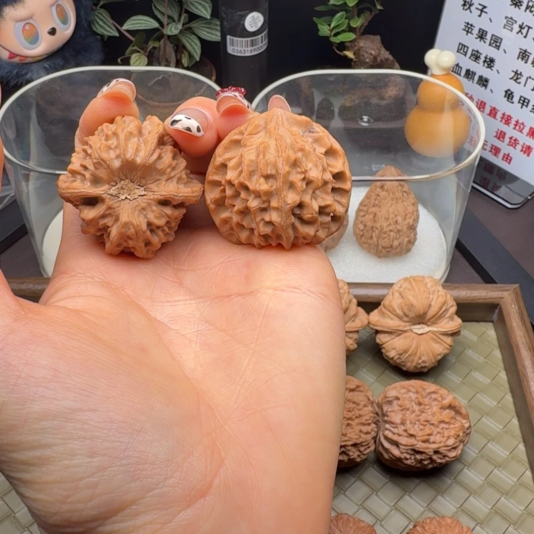 核桃全品龙门涧38+