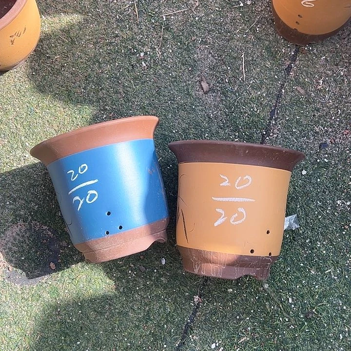 红陶山****。紫砂工艺厂……紫砂工艺厂