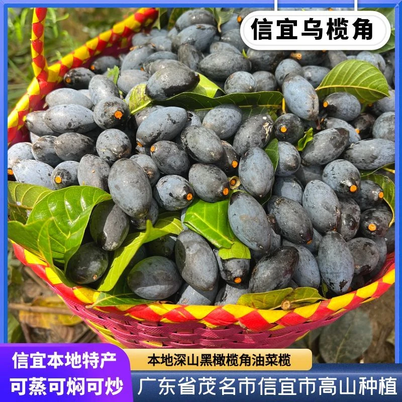【信宜乌榄角】本地黑橄榄油菜榄角干农家特产可蒸排骨焖鱼肉煲猪肉