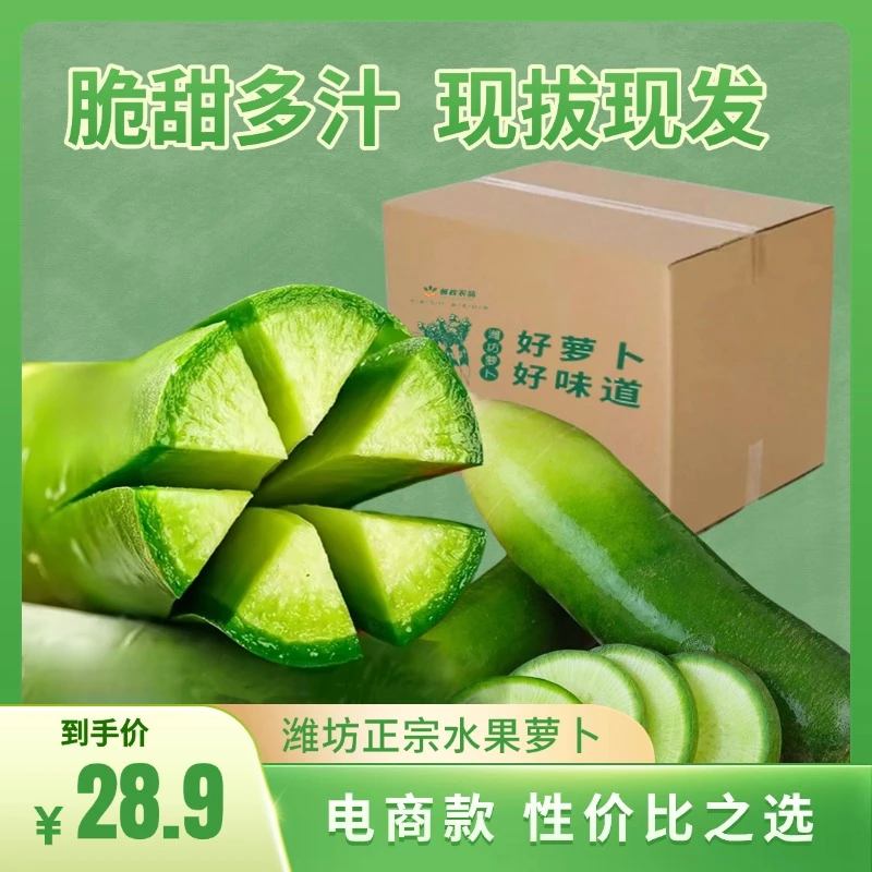 【现拔现发】9斤正宗潍坊萝卜水果萝卜脆甜爆汁生吃潍坊特产保温箱