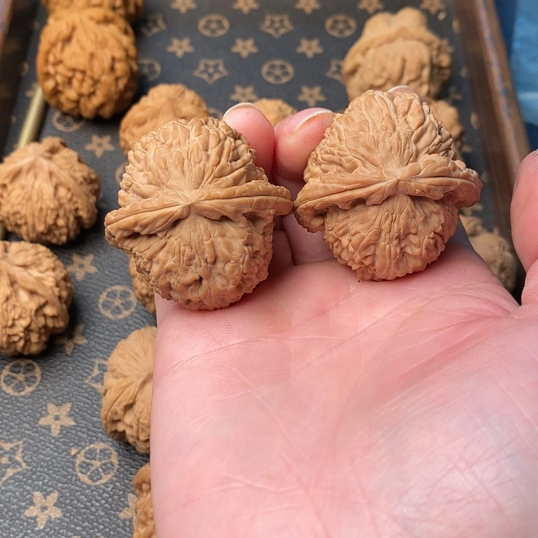 橄榄核手串/手链╭*╮白狮子40全品