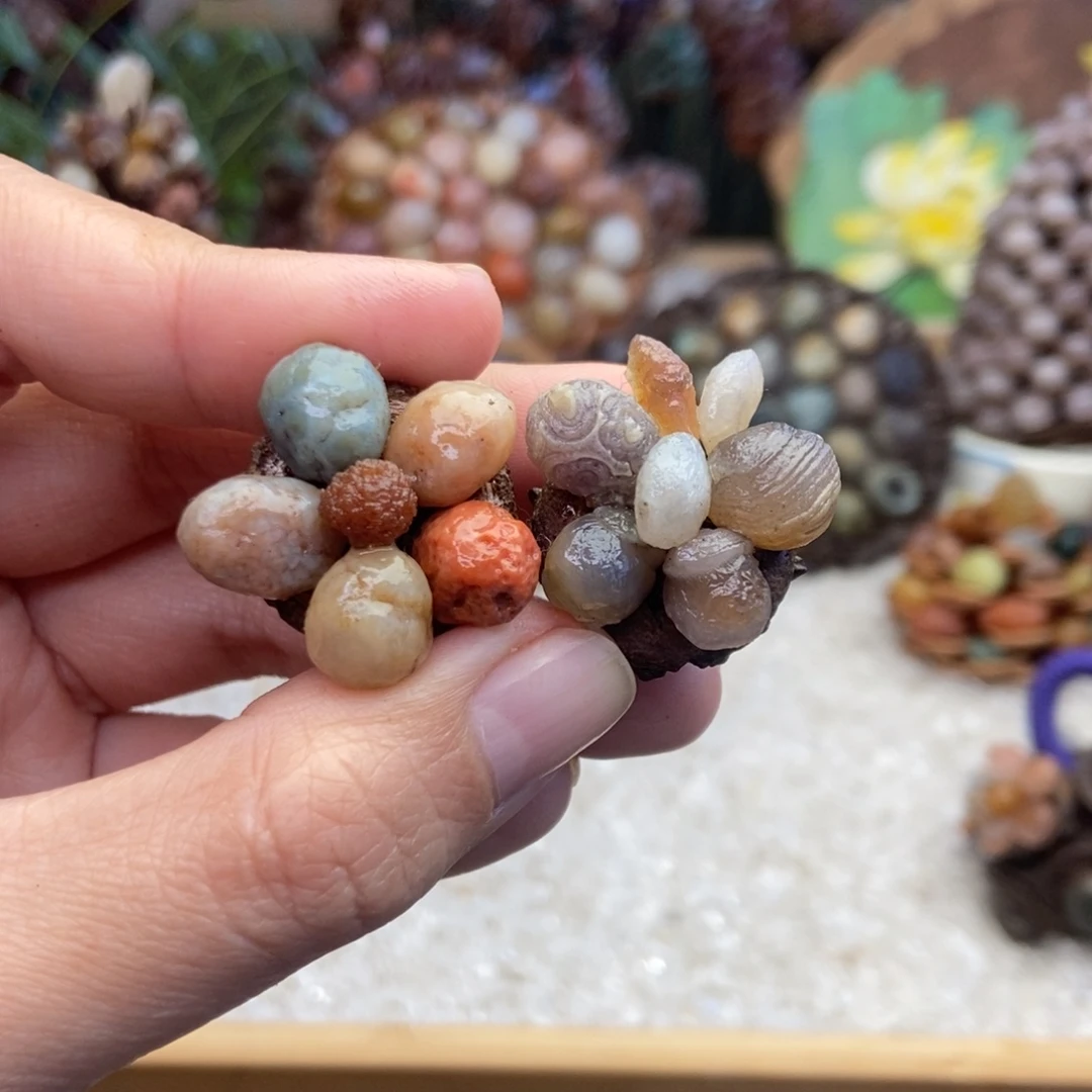 石材木石院子莲蓬11111