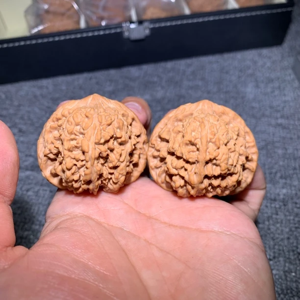 45足尺全品球桩百花山狮子头毕业对