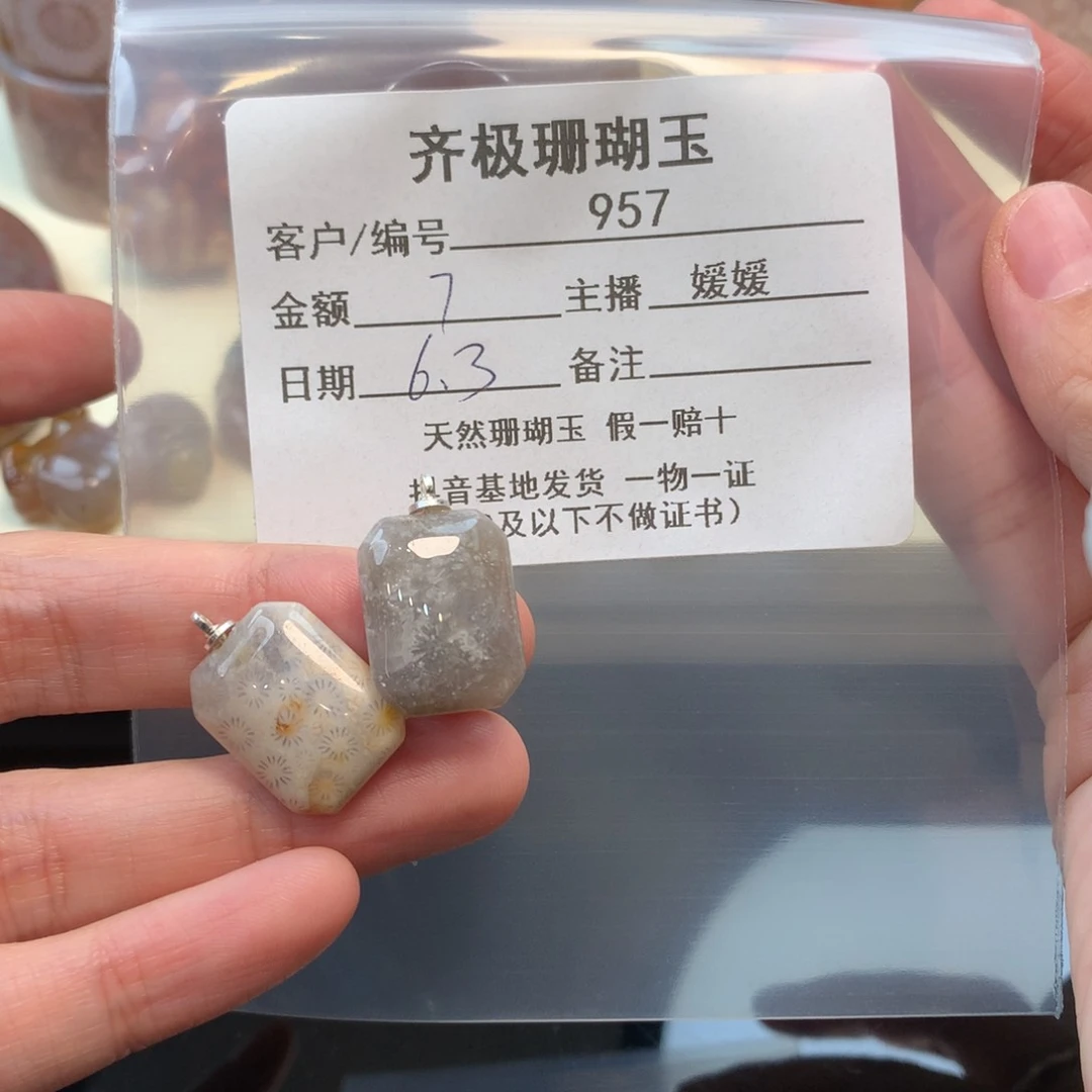 硅化珊瑚（珊瑚玉）未镶嵌颈饰没**音