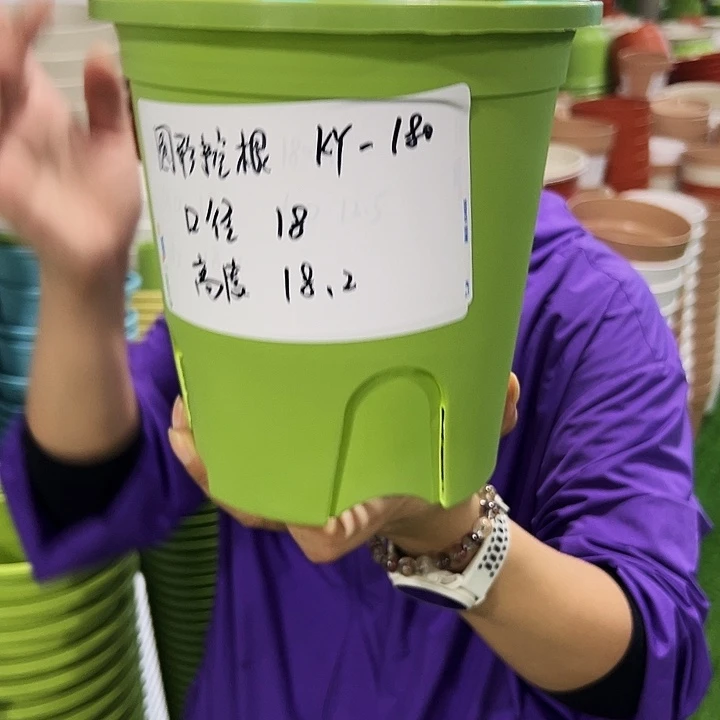 正品圆控口18高18果绿无托8只