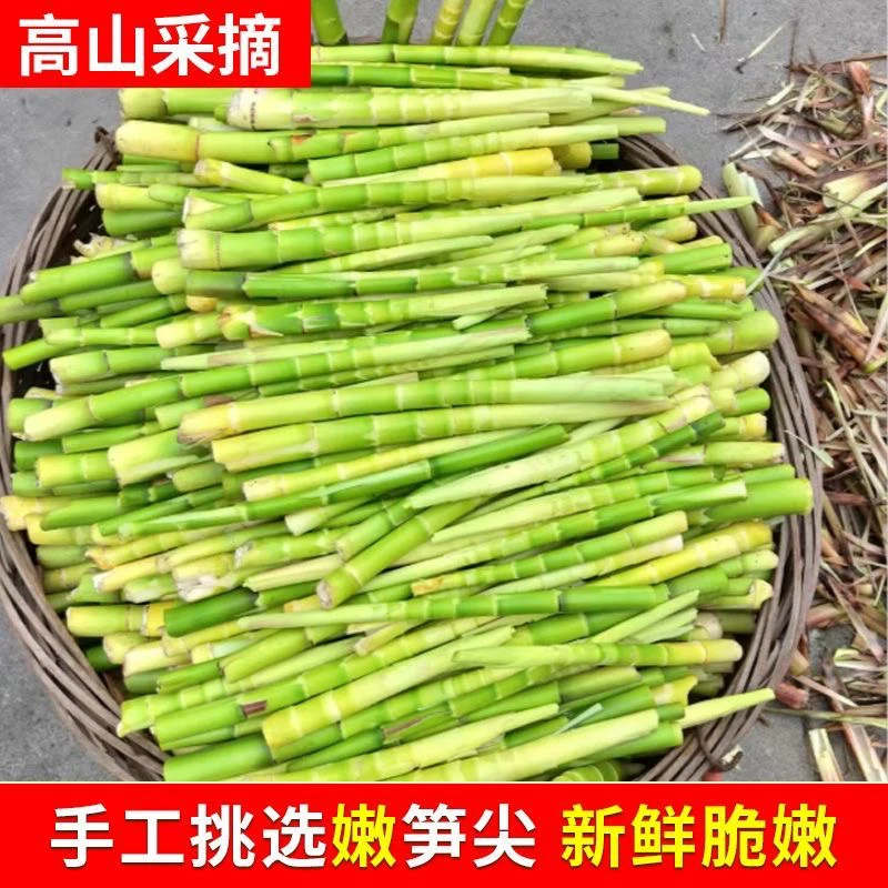 新鲜脆嫩小竹笋清水笋尖绿笋高山青笋火锅食材小竹笋新鲜玉笋炒菜