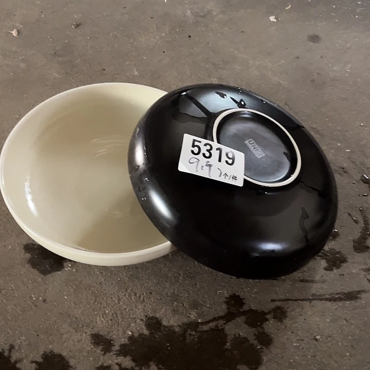 搪瓷微瑕外贸陶瓷5319