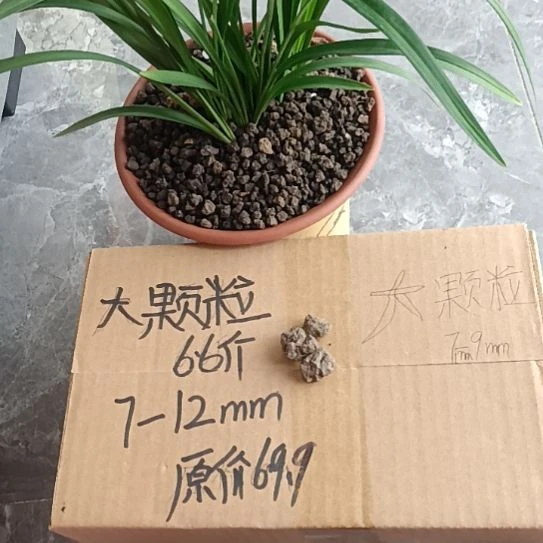 流***画兰菌黑山土大颗粒6.6斤