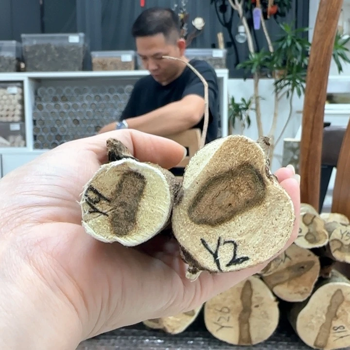 沉香沉香碎屑y9y2原木