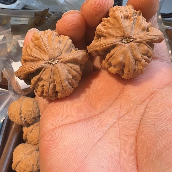 核桃41尺全品望月核桃