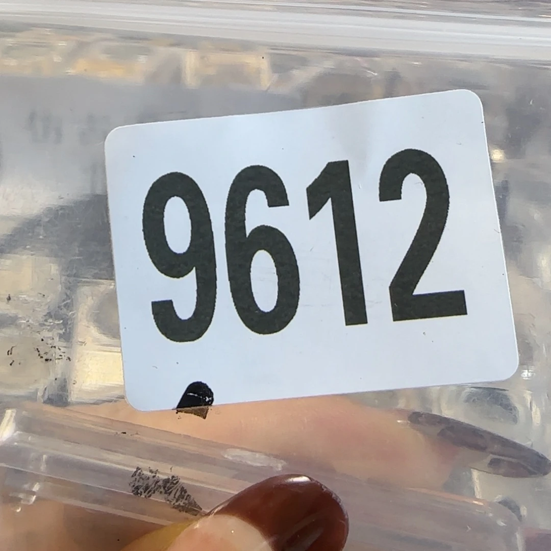 新号开播福利多多