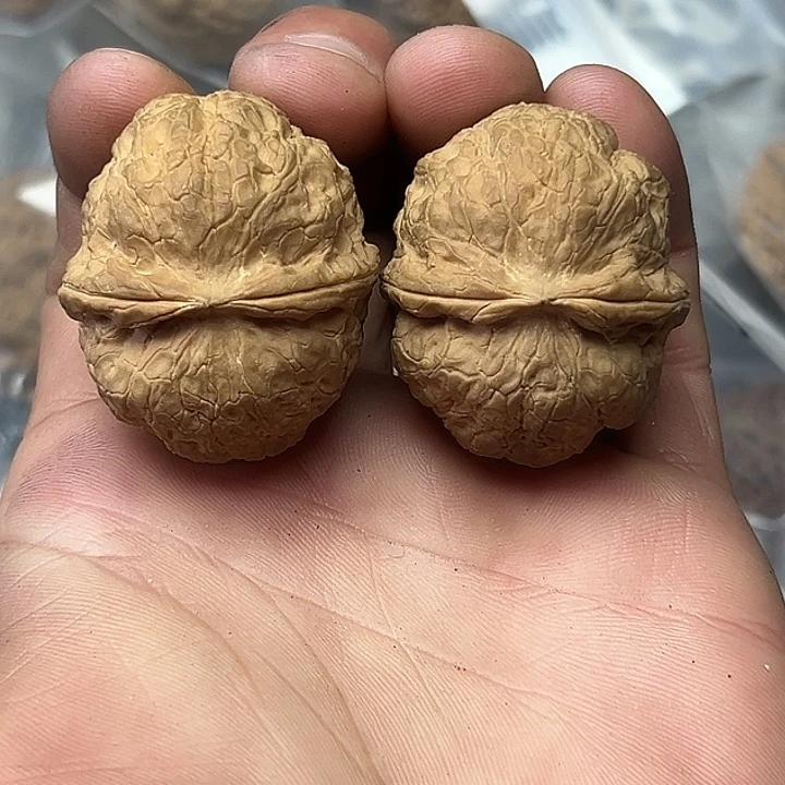 文玩核桃把件43号粗筋元宝39尺