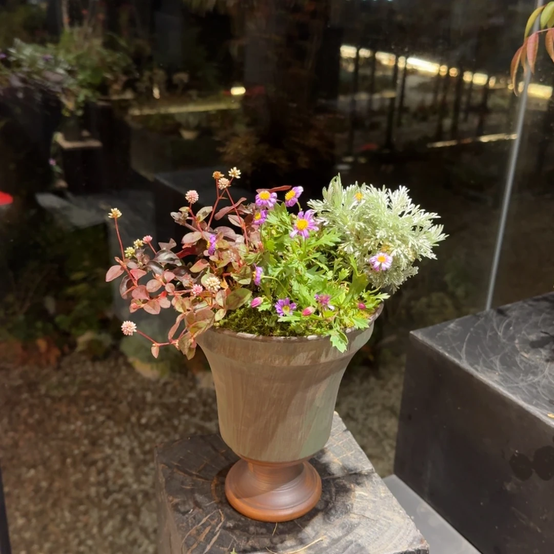 全部花朵山野草手作盆