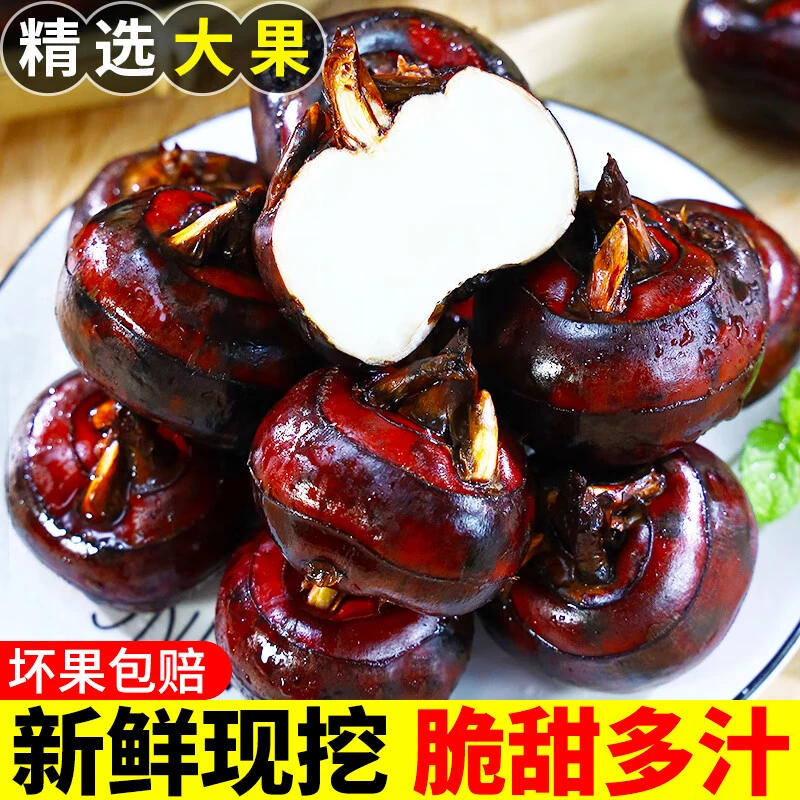 包邮广西桂林新鲜牛奶大马蹄果珍珠当季水果蔬菜即食无为荸荠大果