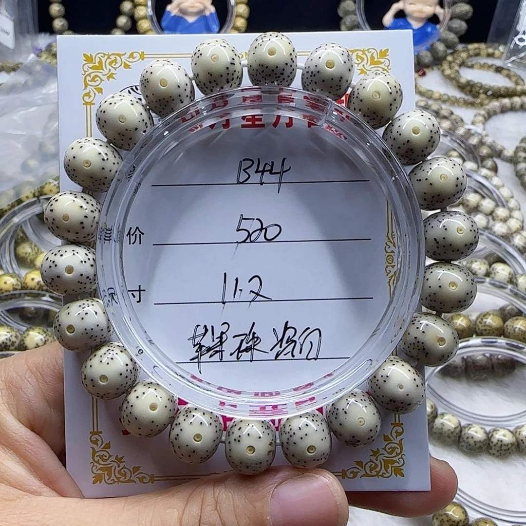 在心月星月菩提一号B44