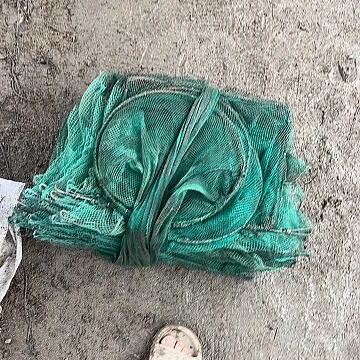 大***帝虾笼296285848488295 550