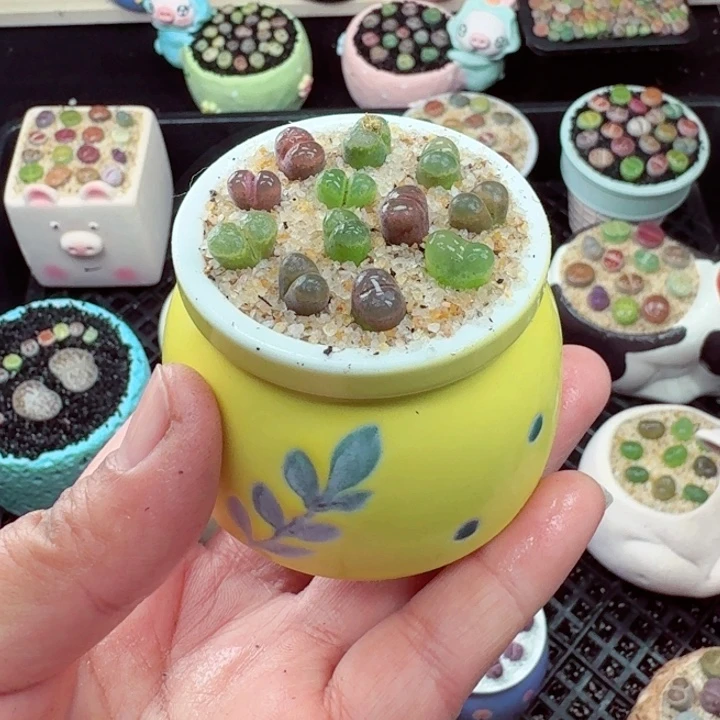 574零下地区记得拍保温箱