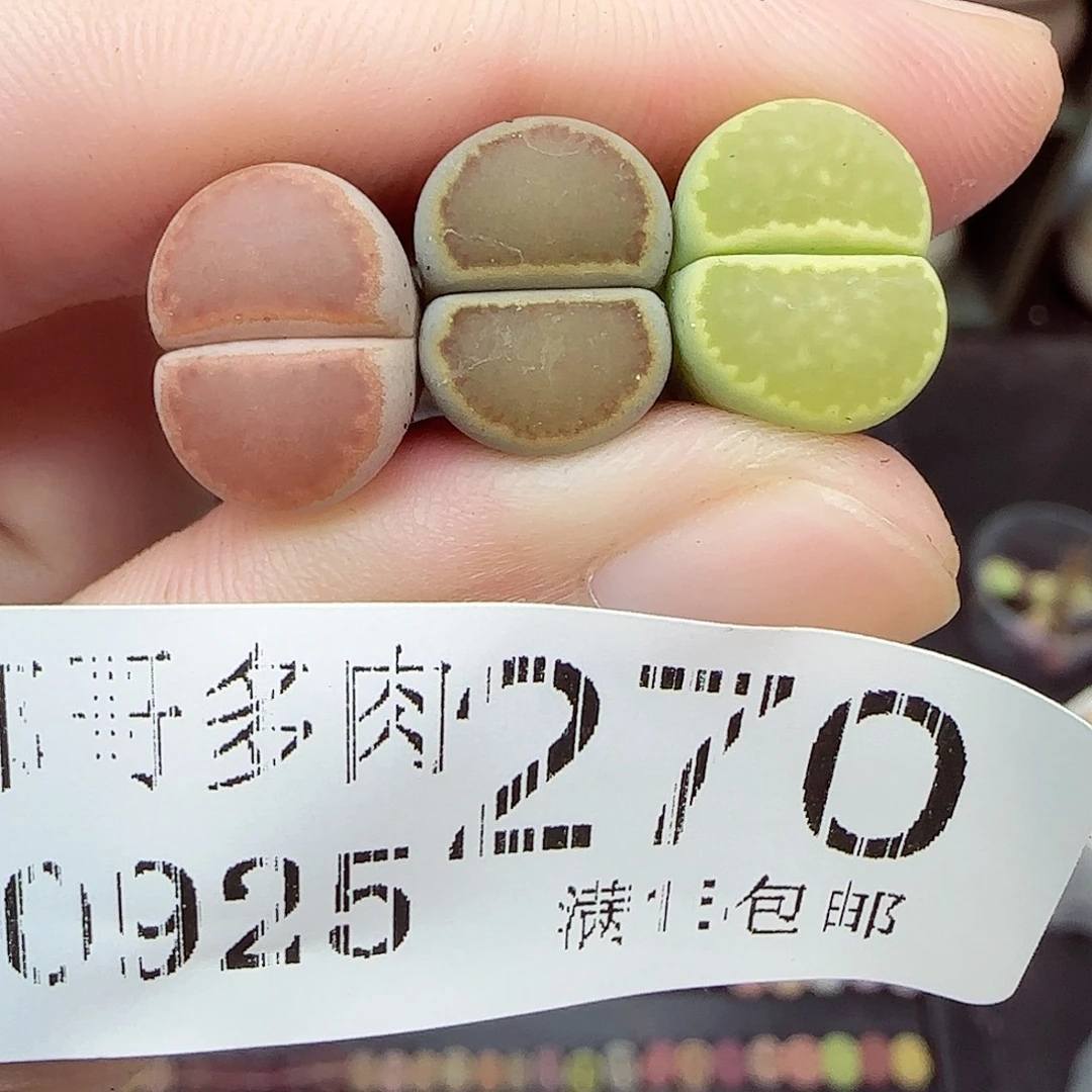 满满18包邮0925-270