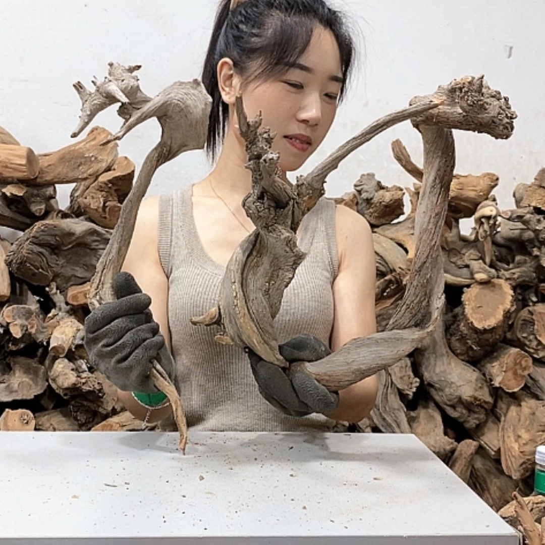 【闪购商品】柏木清**尘我们都是好孩子