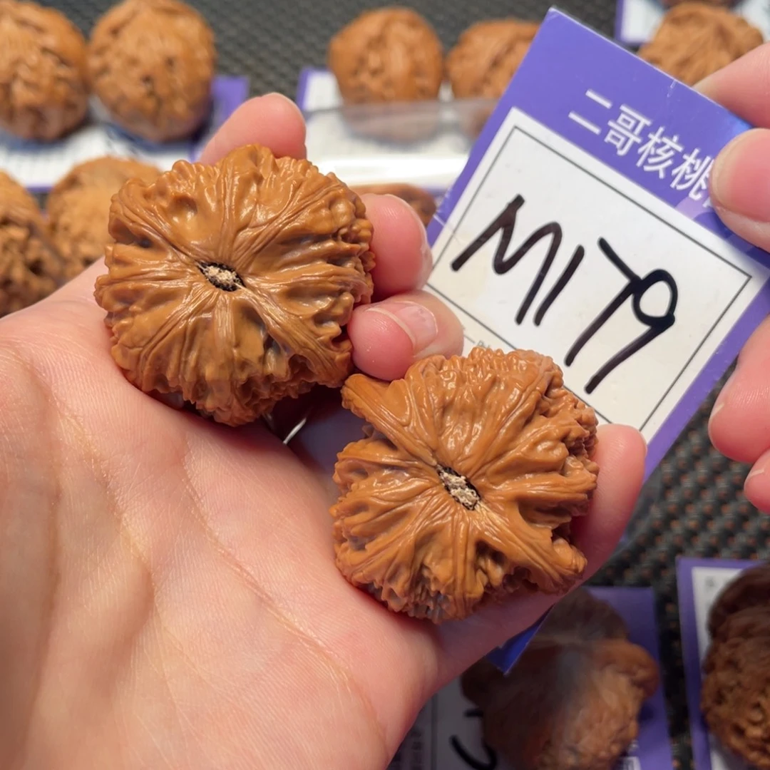 把件文玩核桃M179号白狮子41