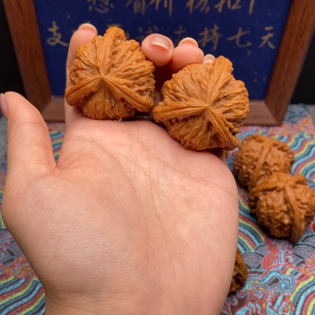 【闪购商品】-***L白狮