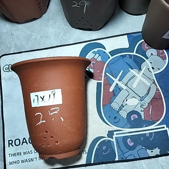 紫砂红泥福利金钟微瑕