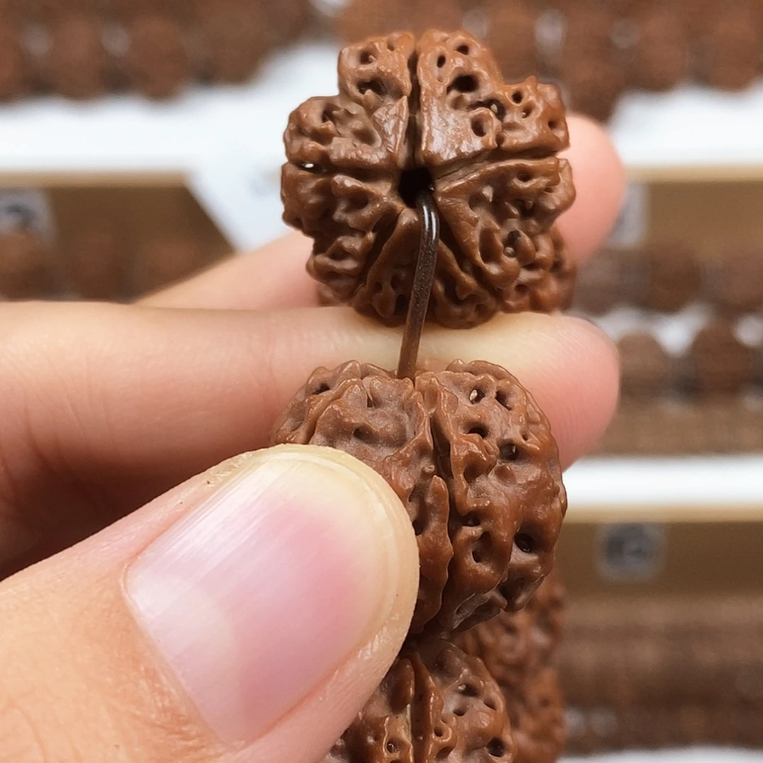 金刚菩提手串精品梅花粗筋蜂窝双龙