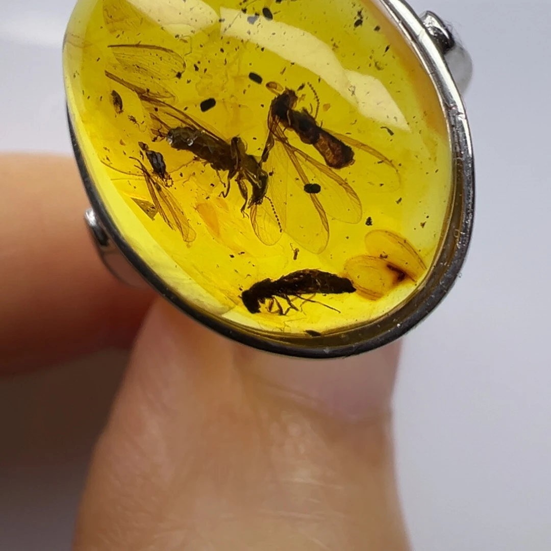 未镶嵌琥珀裸石琥珀虫珀戒指