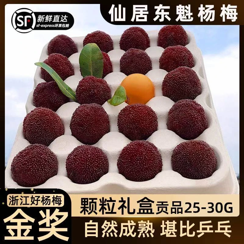 【顺丰发货】正宗仙居东魁杨梅新鲜大果当季时令鲜果80颗现摘礼盒装
