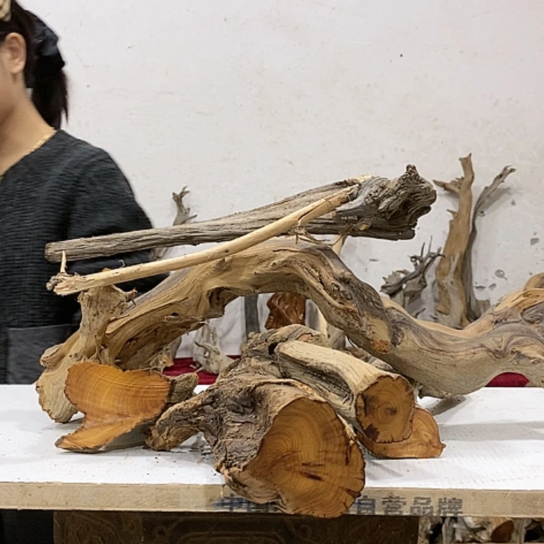 【闪购商品】柏木t*m我们都是好孩子