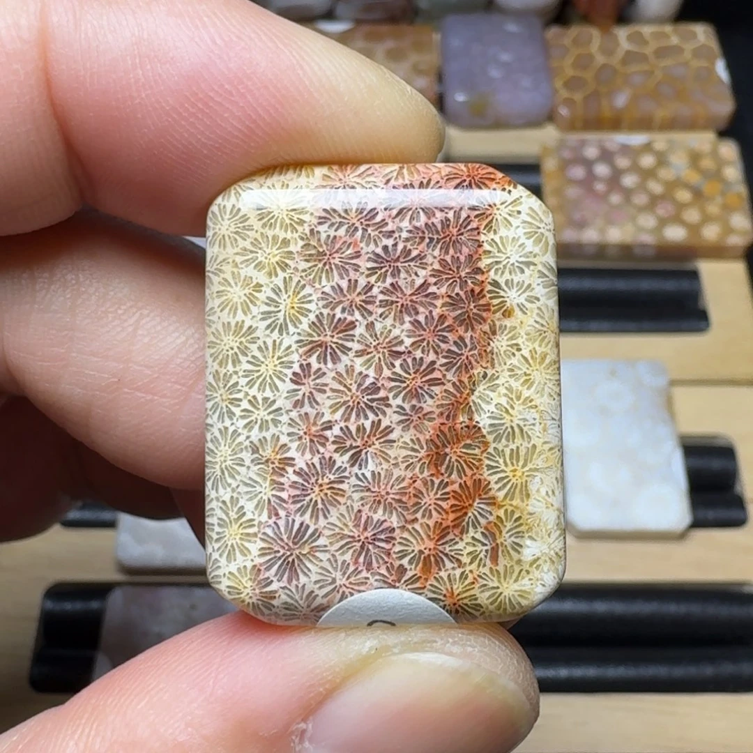 硅化玉纯天然色有机玉石未镶嵌