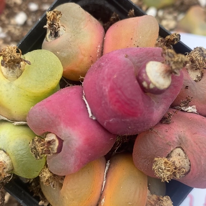 2546一组一组一组