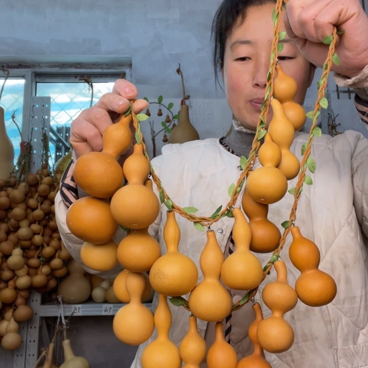 *****天然植物葫芦文玩
